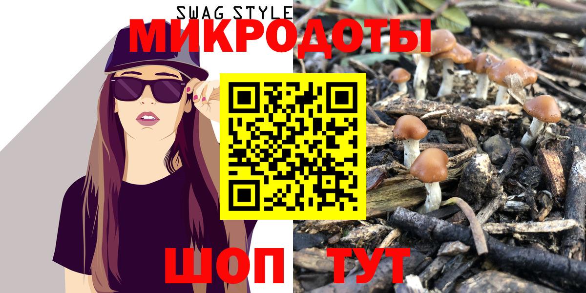 Зеленодольск  что такое наркотик  Вход с VPN  Псилоцибиновые грибы Psilocybine cubensis  Псилоцибиновые грибы Psilocybe 
